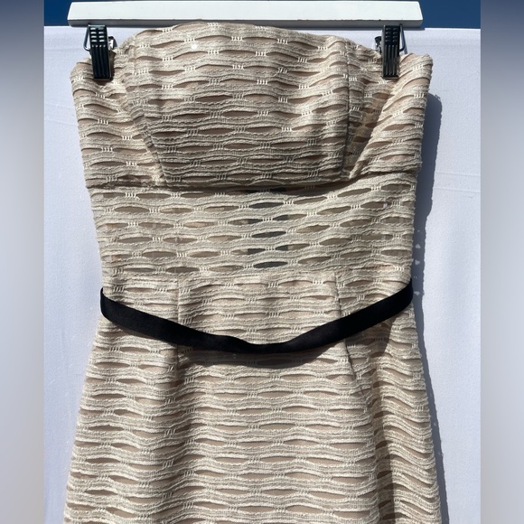 Elegant Wedding Guest Dress - Strapless, Mid Length - Picture 7 of 8